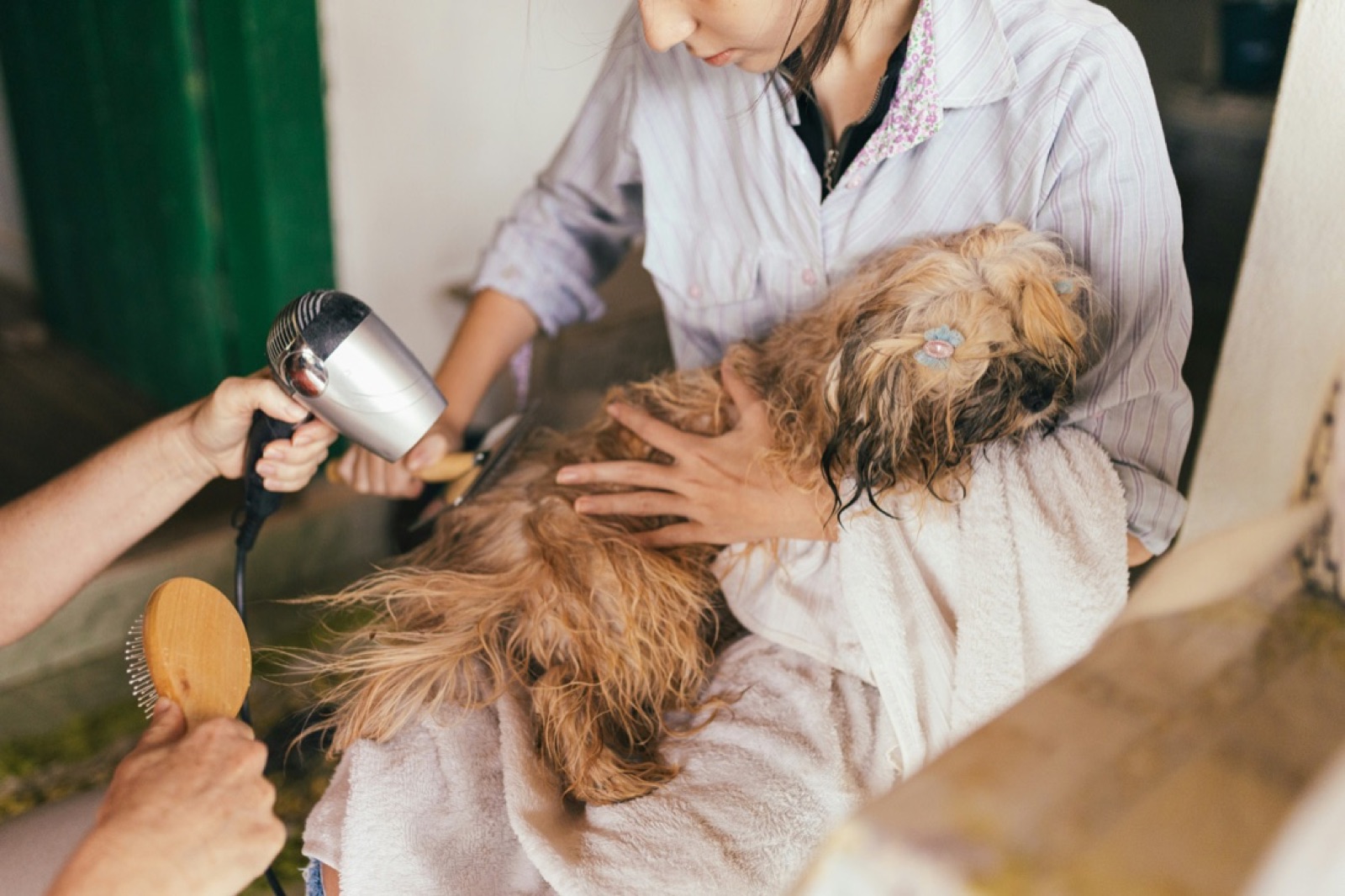 Vaccination